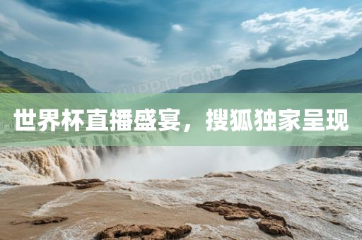 世界杯直播盛宴，搜狐独家呈现
