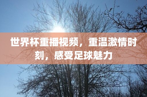 世界杯重播视频，重温激情时刻，感受足球魅力