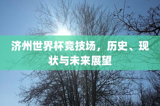 济州世界杯竞技场，历史、现状与未来展望