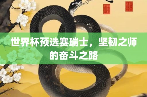 世界杯预选赛瑞士，坚韧之师的奋斗之路