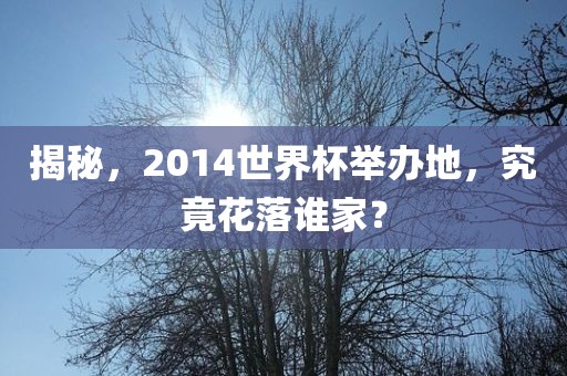 揭秘，2014世界杯举办地，究竟花落谁家？