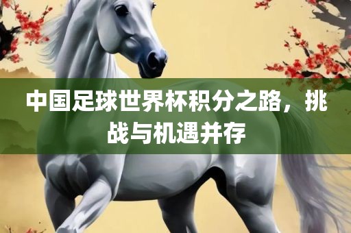 中国足球世界杯积分之路，挑战与机遇并存