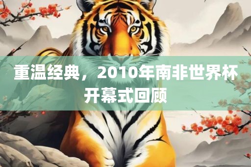 重温经典，2010年南非世界杯开幕式回顾