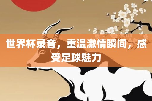 世界杯录音，重温激情瞬间，感受足球魅力