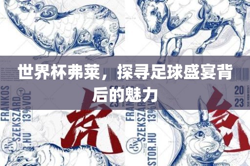 世界杯弗莱，探寻足球盛宴背后的魅力