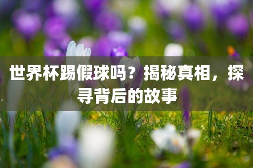 世界杯踢假球吗？揭秘真相，探寻背后的故事