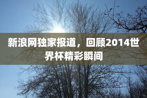新浪网独家报道，回顾2014世界杯精彩瞬间