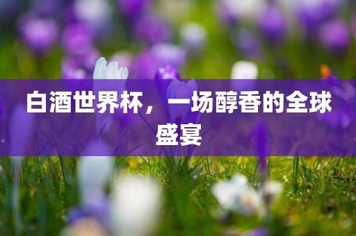 白酒世界杯，一场醇香的全球盛宴