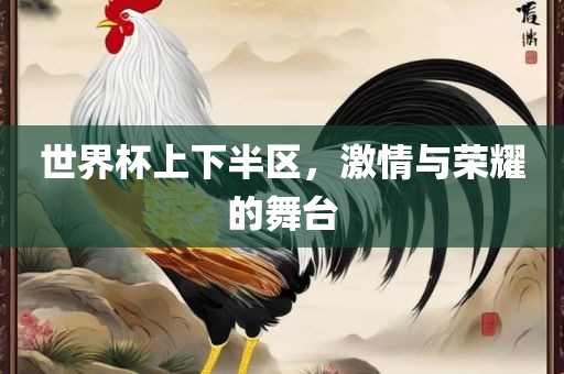 世界杯上下半区，激情与荣耀的舞台