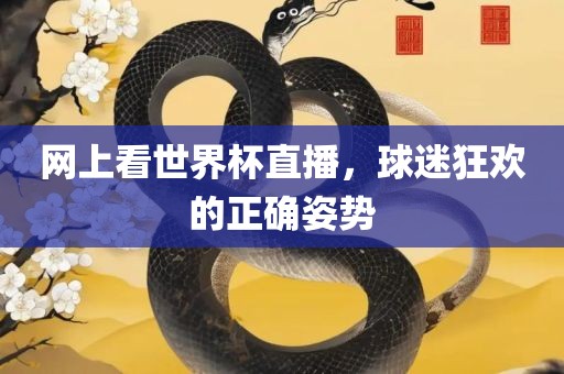 网上看世界杯直播，球迷狂欢的正确姿势