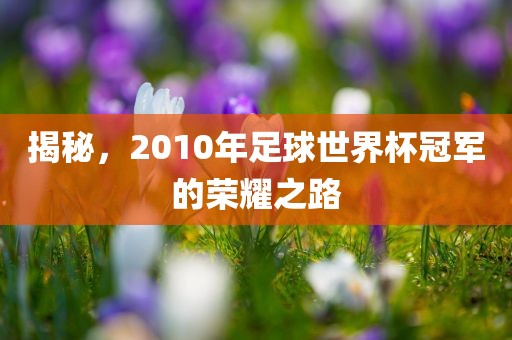 揭秘，2010年足球世界杯冠军的荣耀之路
