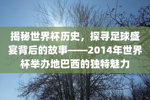 揭秘世界杯历史，探寻足球盛宴背后的故事——2014年世界杯举办地巴西的独特魅力