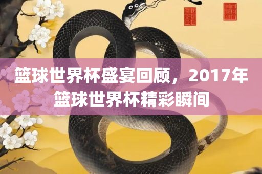 篮球世界杯盛宴回顾，2017年篮球世界杯精彩瞬间