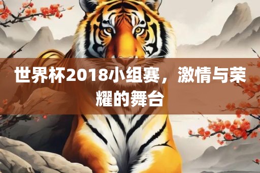世界杯2018小组赛，激情与荣耀的舞台