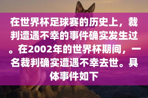在世界杯足球赛的历史上，裁判遭遇不幸的事件确实发生过。在2002年的世界杯期间，一名裁判确实遭遇不幸去世。具体事件如下