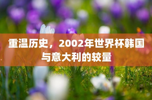 重温历史，2002年世界杯韩国与意大利的较量