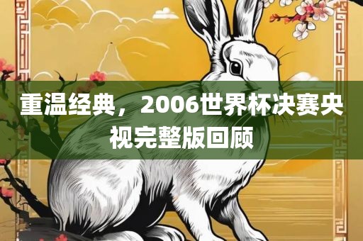 重温经典，2006世界杯决赛央视完整版回顾