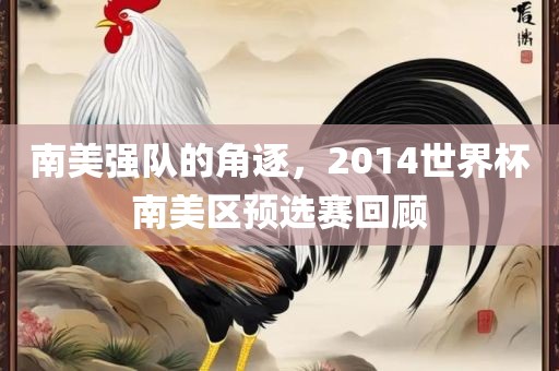 南美强队的角逐，2014世界杯南美区预选赛回顾