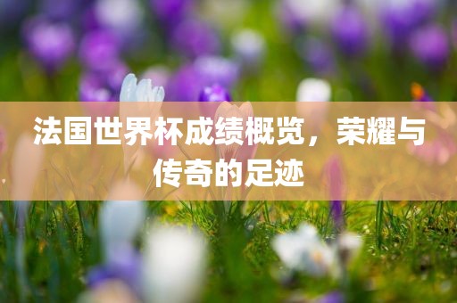 法国世界杯成绩概览，荣耀与传奇的足迹