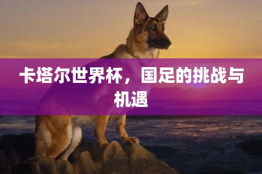 卡塔尔世界杯，国足的挑战与机遇