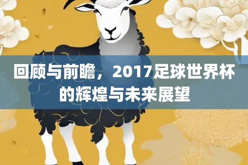 回顾与前瞻，2017足球世界杯的辉煌与未来展望