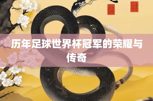 历年足球世界杯冠军的荣耀与传奇