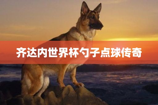 齐达内世界杯勺子点球传奇