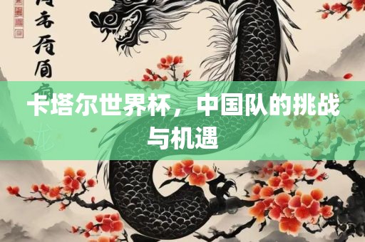 卡塔尔世界杯，中国队的挑战与机遇