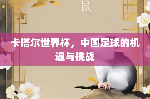 卡塔尔世界杯，中国足球的机遇与挑战