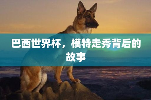 巴西世界杯，模特走秀背后的故事