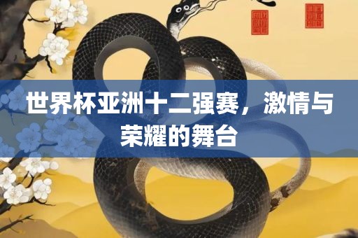世界杯亚洲十二强赛，激情与荣耀的舞台