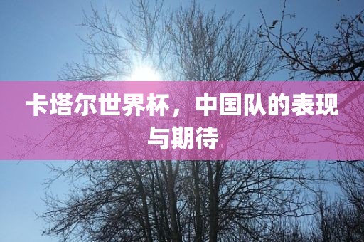 卡塔尔世界杯，中国队的表现与期待