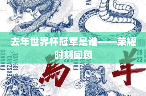 去年世界杯冠军是谁——荣耀时刻回顾