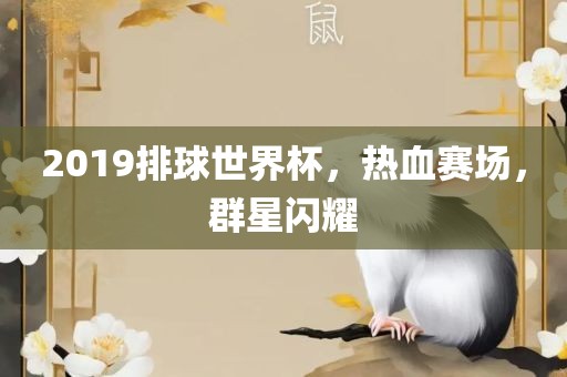 2019排球世界杯，热血赛场，群星闪耀