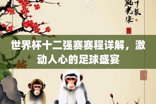 世界杯十二强赛赛程详解，激动人心的足球盛宴