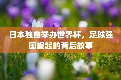 日本独自举办世界杯，足球强国崛起的背后故事