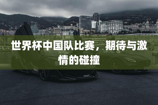世界杯中国队比赛，期待与激情的碰撞