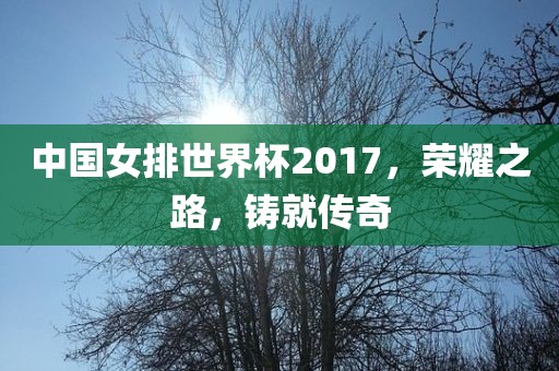 中国女排世界杯2017，荣耀之路，铸就传奇