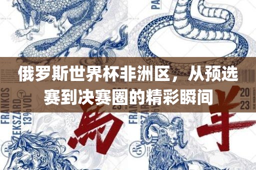俄罗斯世界杯非洲区，从预选赛到决赛圈的精彩瞬间