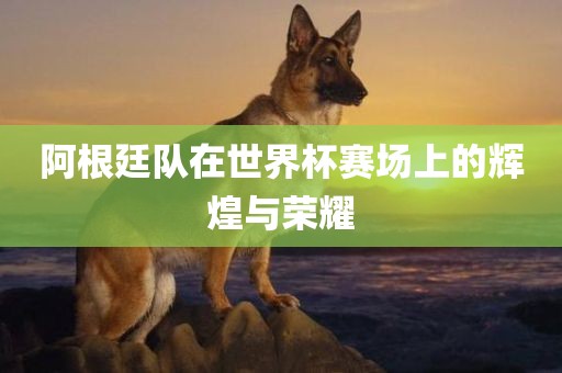 阿根廷队在世界杯赛场上的辉煌与荣耀
