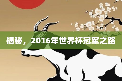 揭秘，2016年世界杯冠军之路