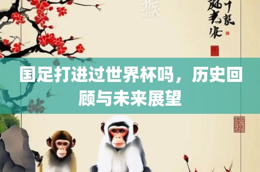 国足打进过世界杯吗，历史回顾与未来展望