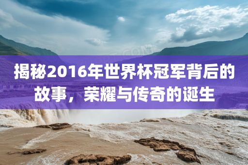 揭秘2016年世界杯冠军背后的故事，荣耀与传奇的诞生
