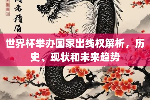 世界杯举办国家出线权解析，历史、现状和未来趋势