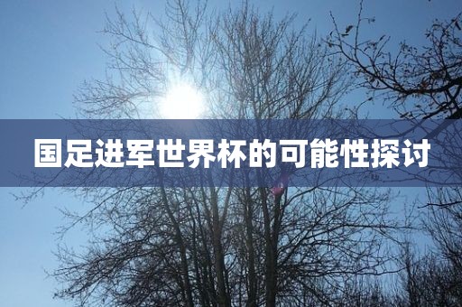 国足进军世界杯的可能性探讨