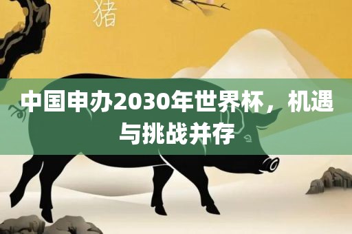 中国申办2030年世界杯，机遇与挑战并存