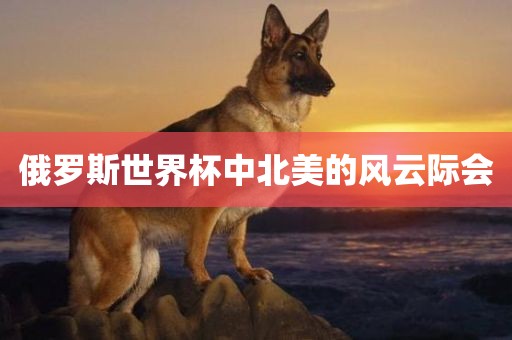 俄罗斯世界杯中北美的风云际会