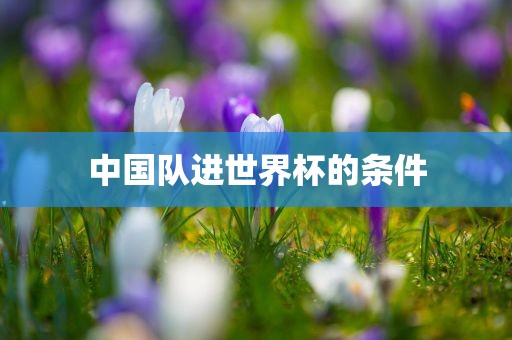 中国队进世界杯的条件