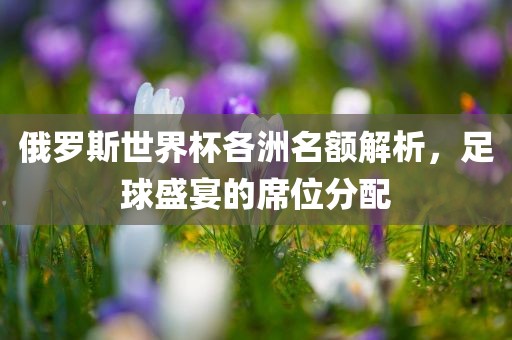 俄罗斯世界杯各洲名额解析，足球盛宴的席位分配