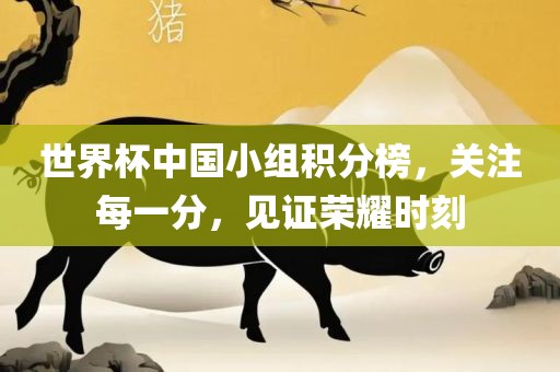 世界杯中国小组积分榜，关注每一分，见证荣耀时刻